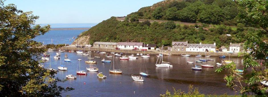 Rosebud Cottage Romantic Cottage For A Couple Fishguard Exterior photo